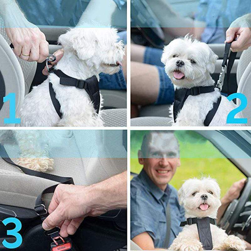 Gadgets d'Eve animaux de compagnie SECURIL™: Ceinture de sécurité voiture pour chiens